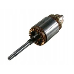 Deutz 289 starterio rotorius 5mm