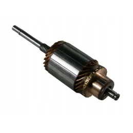 Deutz 289 starterio rotorius 5mm