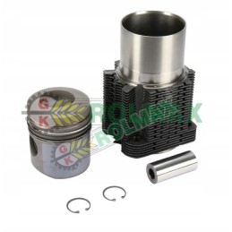 Deutz FL913 variklio remonto komplektas fi35mm 029184