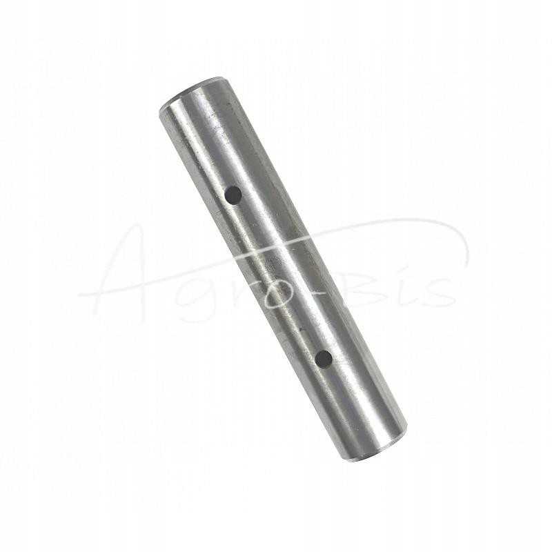 Aštrūs kaiščiai fi50 l 255 mm