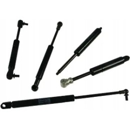 Dujinė spyruoklė l320 mm 120n stabilus ca6714nr