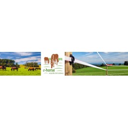 Mažų kaiščių rinkinys