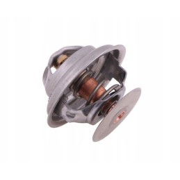 Termostatas Zetor Forterra 70011316 originalus Ursus