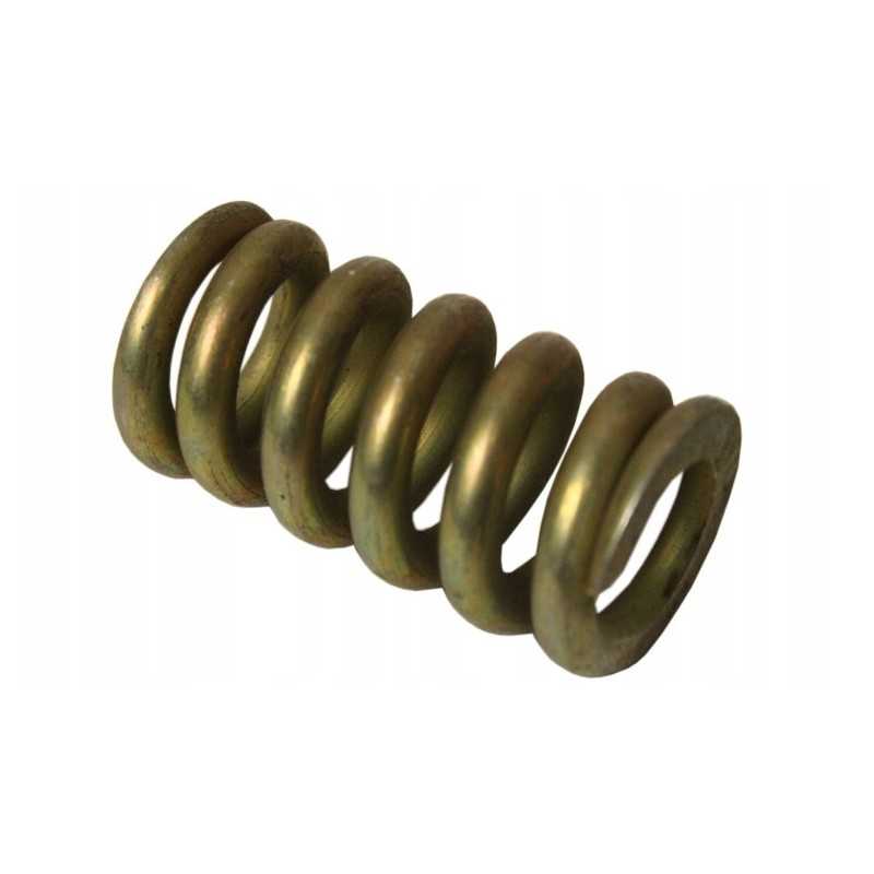 Stabdžių vožtuvo strypo spyruoklė c 385 80235011