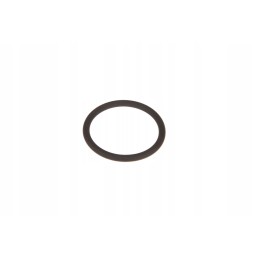 D45120043 slėgio vožtuvo sandariklis