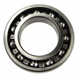 Guolis 6007