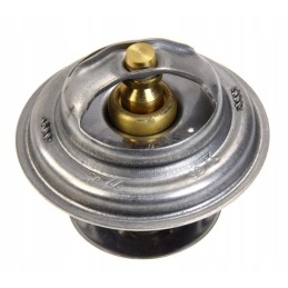 Termostatas 385 Zetor 6100 01 89005904 70011316