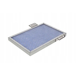 Donaldson oro filtras p618641