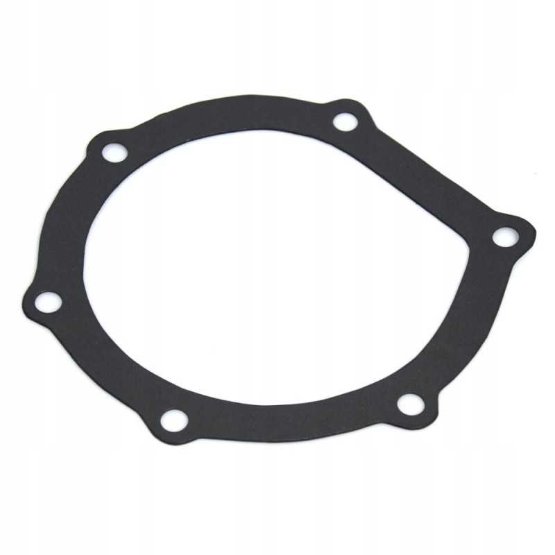 Vandens siurblio tarpiklis SW400 Bizon 08130430