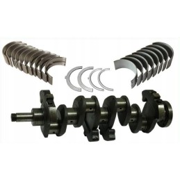 Kaltiniai alkūninio veleno C 360 Agtech Polpier guoliai