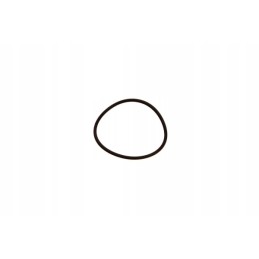 Alyvos užpildymo sandariklis iveco daily 2 8 17282581