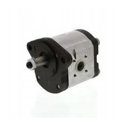 Bosch Renault hidraulinis siurblys