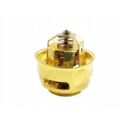 Termostatas st ts1091306100