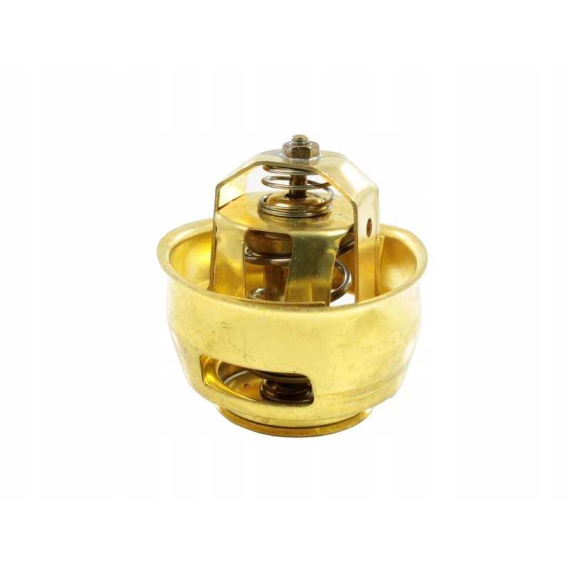 Termostatas st ts1091306100