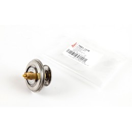 Termostatas Zetor 70011316 Wahler