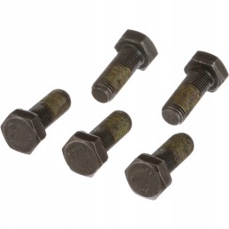 Cepa CR varžtas m14x1 5x35 10 9 89503097 Naujoji Olandija