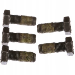 Cepa CR varžtas m14x1 5x35 10 9 89503097 Naujoji Olandija