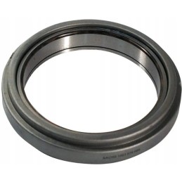 Liuko atraminis guolis