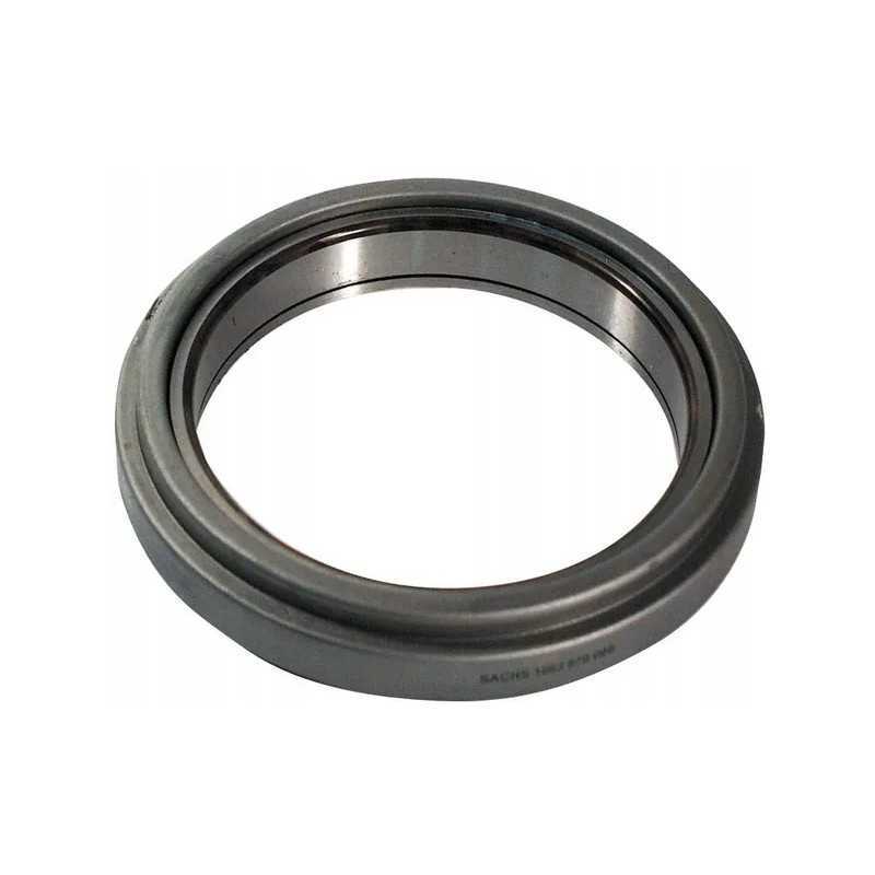 Liuko atraminis guolis