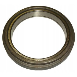 Liuko atraminis guolis