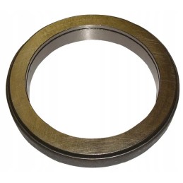 Liuko atraminis guolis