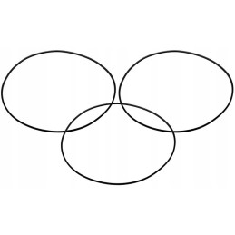 Deutz Fahr stabdžių stūmoklio sandarinimo žiedas