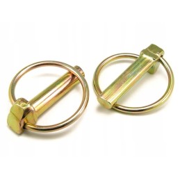 Žemės ūkio sijos kaištis 10 mm 10 vnt