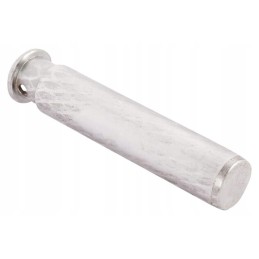 L31839n stabdžių cilindro stūmoklis