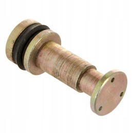 Zetor 930725 stabdžių siurblio stūmoklis, seno tipo