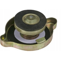 Radiatoriaus dangtelis 40mm tinka Baltarusijai 5063104n