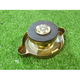 Radiatoriaus dangtelis c 360