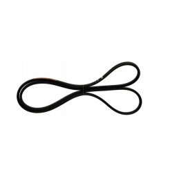 84817631 pavaros diržas