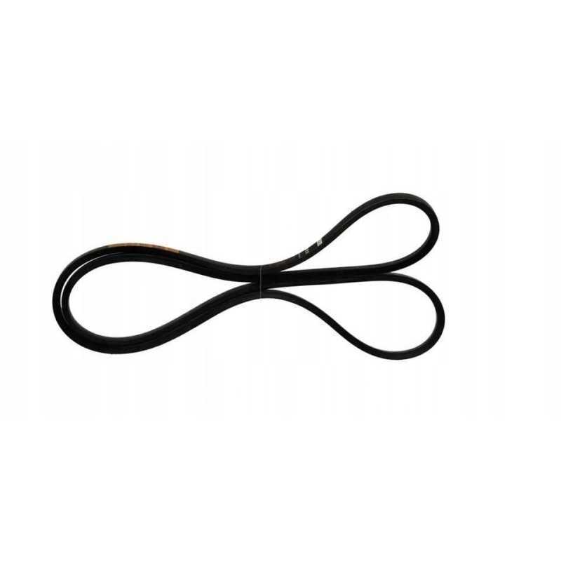 84817631 pavaros diržas