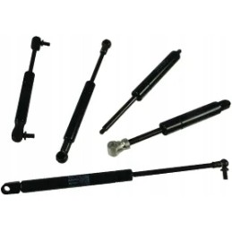 Dujinė spyruoklė L316 5 mm 400N stabilus CA057053