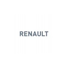 Originalus Renault tepalo filtras