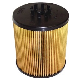 Fleetguard alyvos filtras, cilindro formos