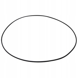 Žiedas 200 mm 5450634303229 0634303229 zf