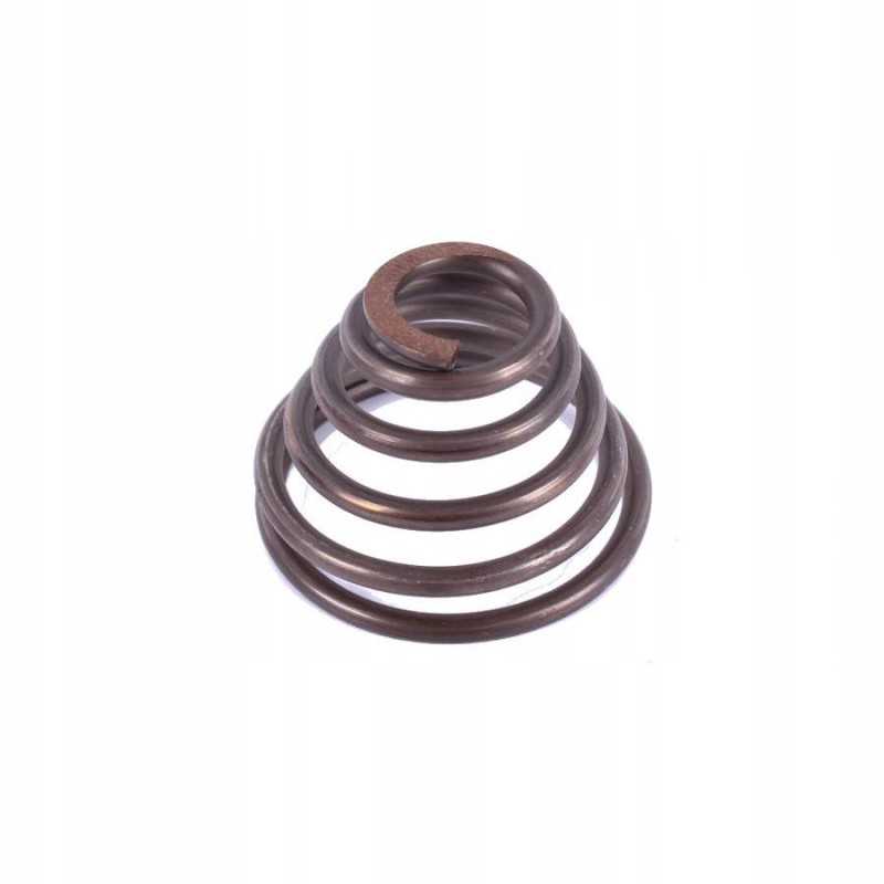 Pavarų svirties spyruoklė c 330 c330 50011650