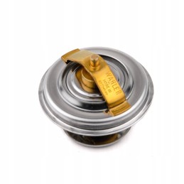 Termostatas Zetor Forterra Proxima 70011316 Wahler