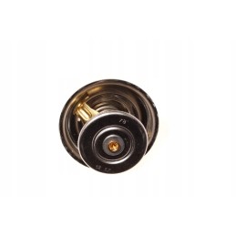 Termostatas Zetor Forterra Proxima 70011316 Wahler