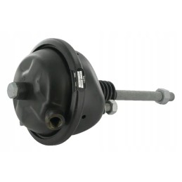 12 tipo membranos cilindras