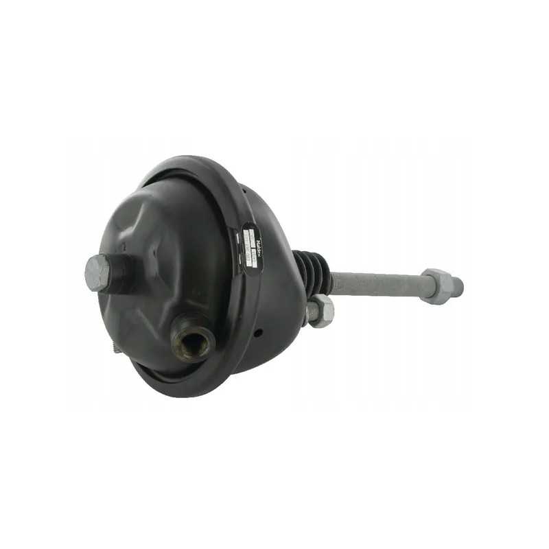 12 tipo membranos cilindras