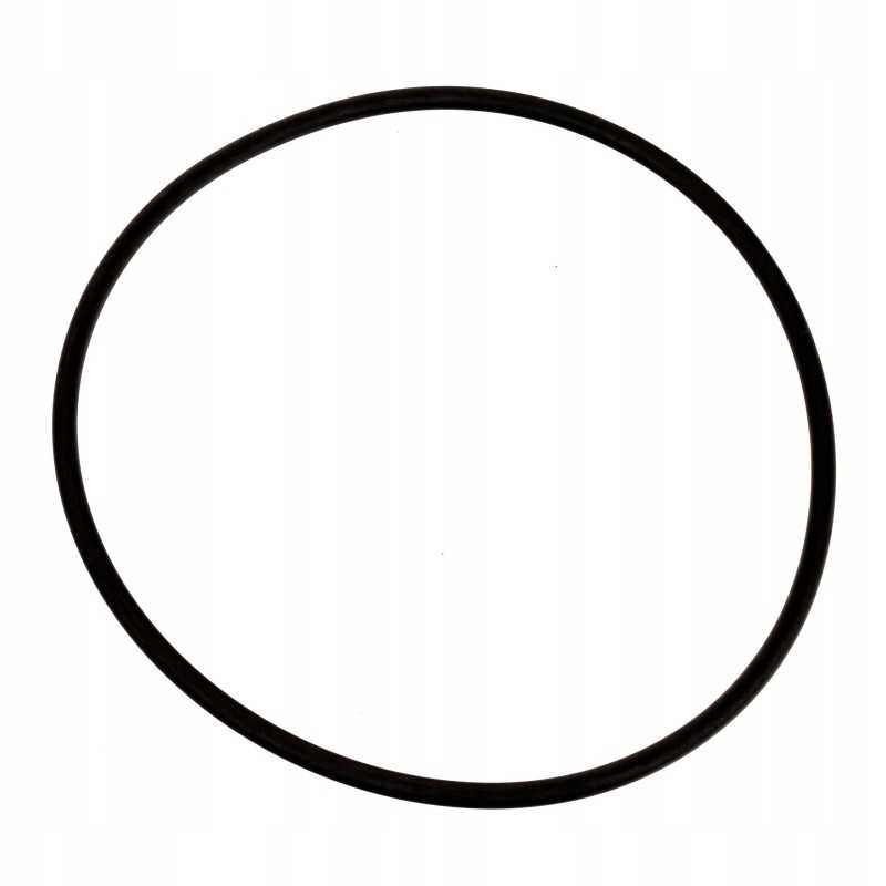 Stabdžių korpuso sandarinimo žiedo korpusas 713791r1