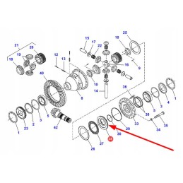 822100010160 galinio diferencialo stūmoklis