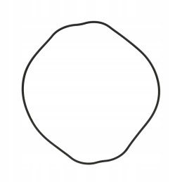 Dangčio tarpiklis TL100 TD New Holland 500301351