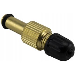 Užsuktas vožtuvo įdėklas