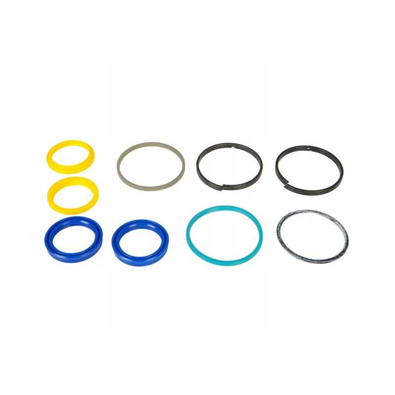 7252445006 vairo cilindro sandarikliai