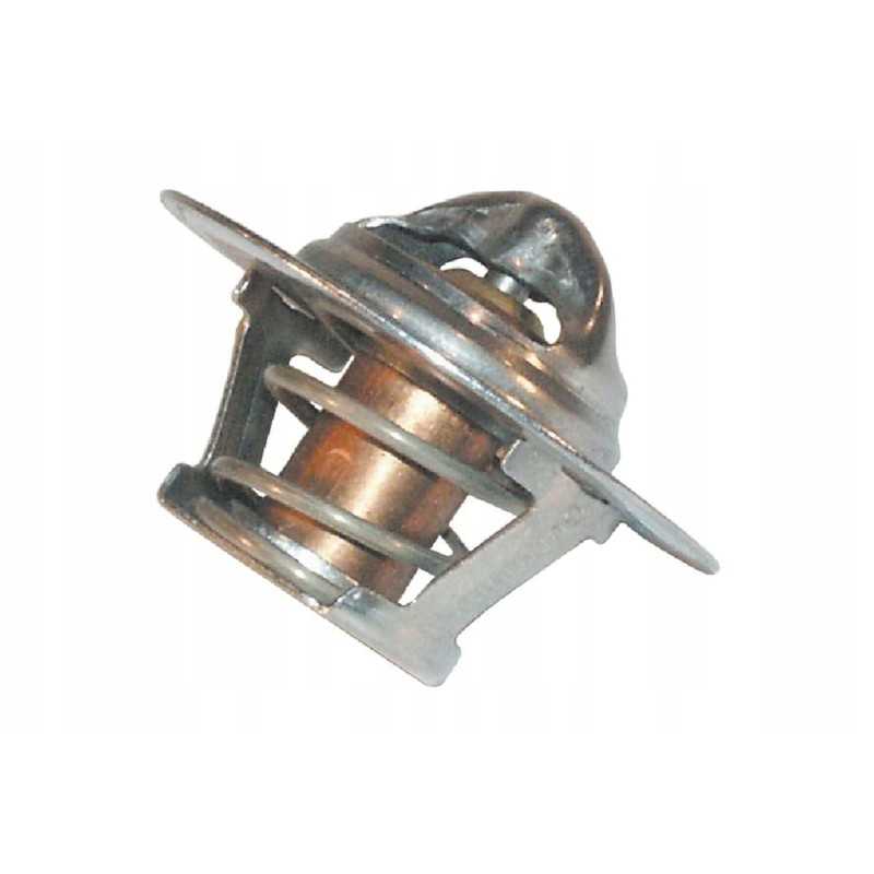 83916917n termostatas 78c nh