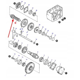 71377414 galinis pavaros velenas