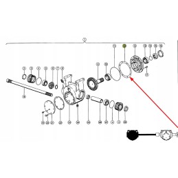 669616 0 rotoriaus pavaros krumpliaračių poveržlė